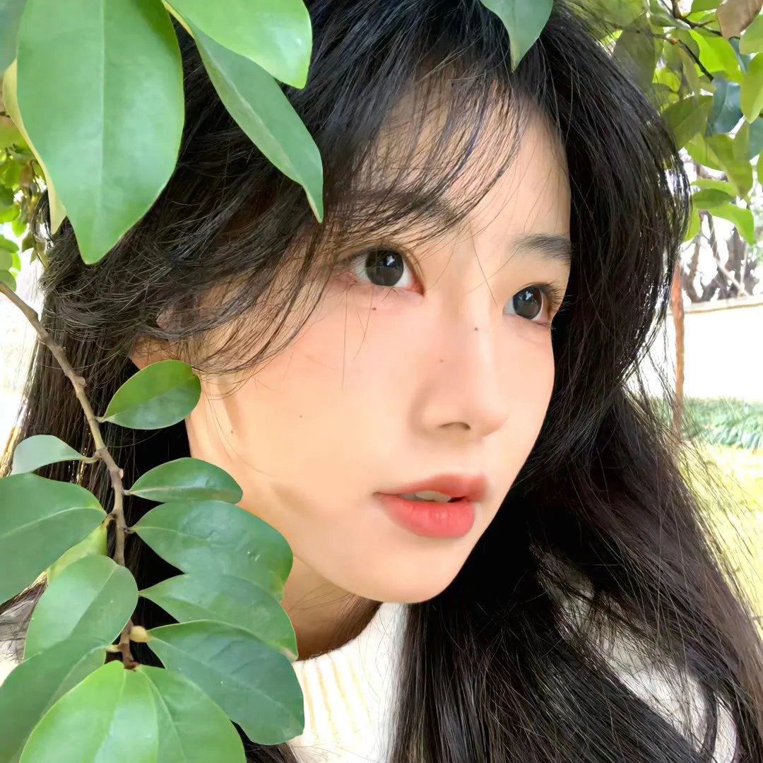 蜘蛛网中的女孩